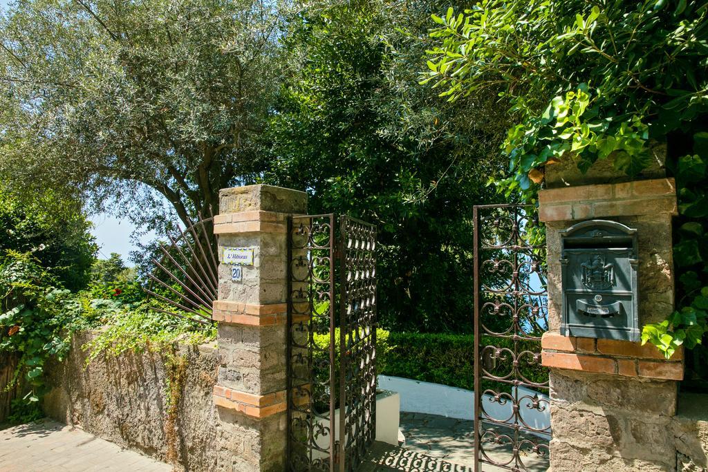 Villa Hibiscus *
