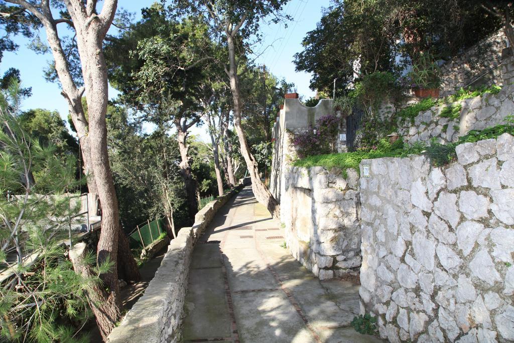 La Lampara Di Tuoro Capri