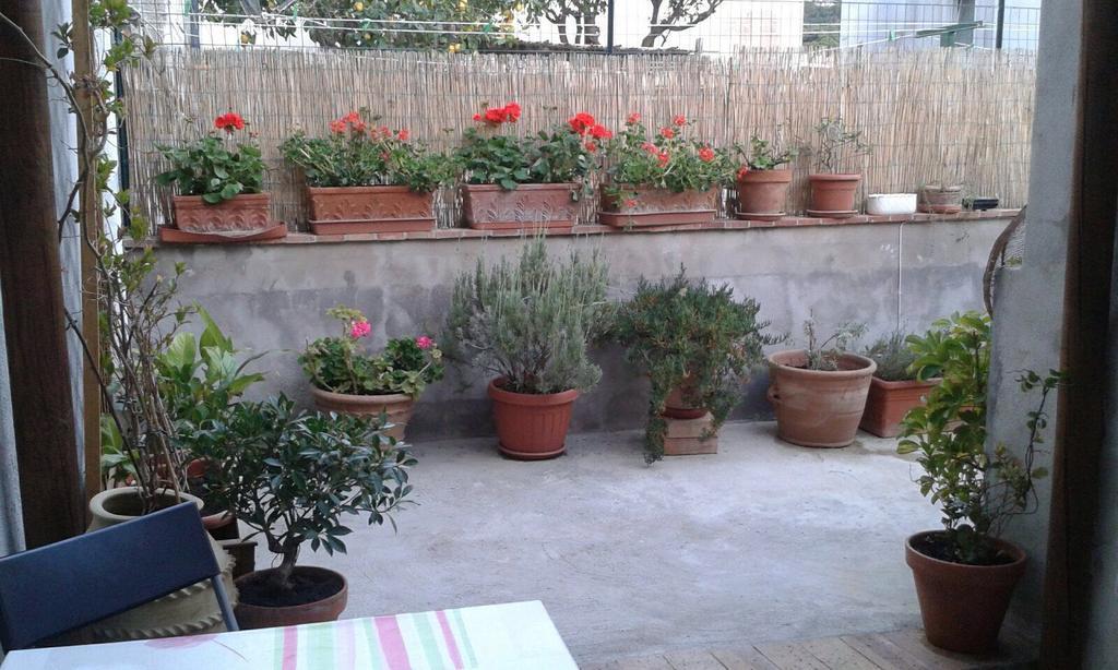 Il Raggio Apartamento *