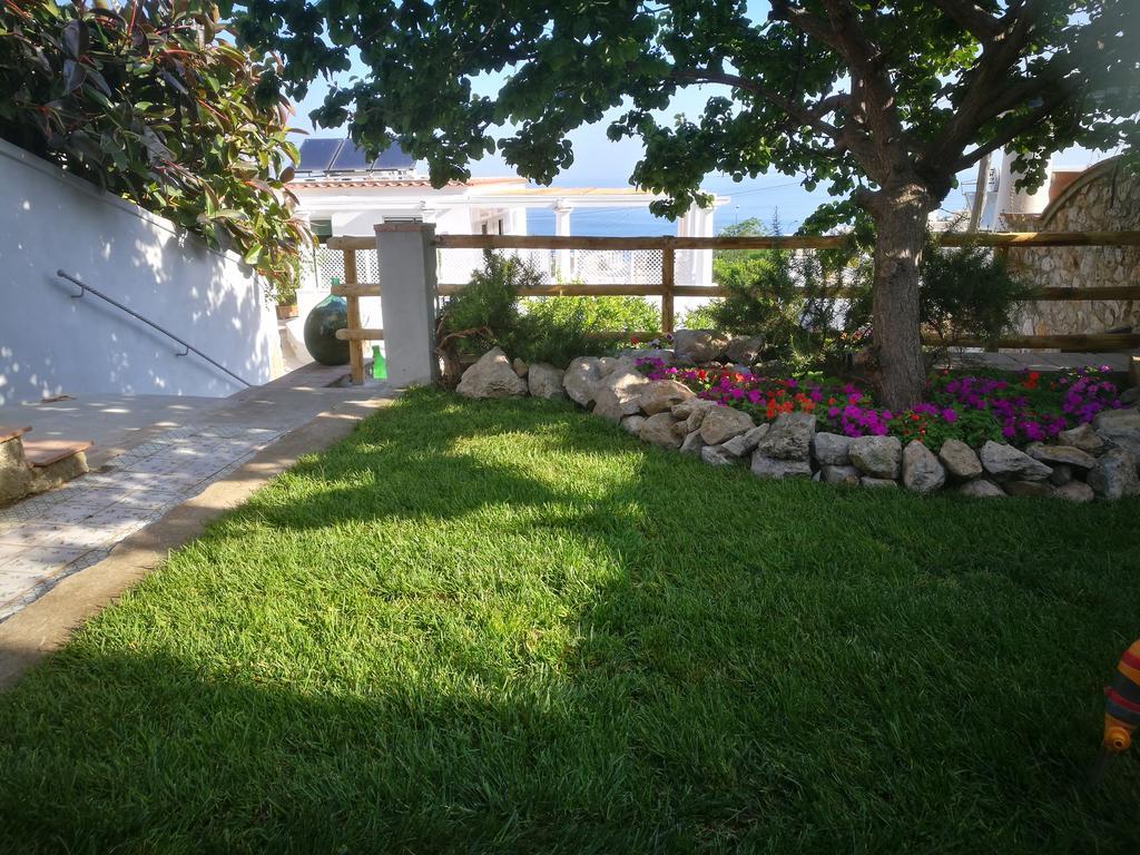 Guest house Patrizi 3*