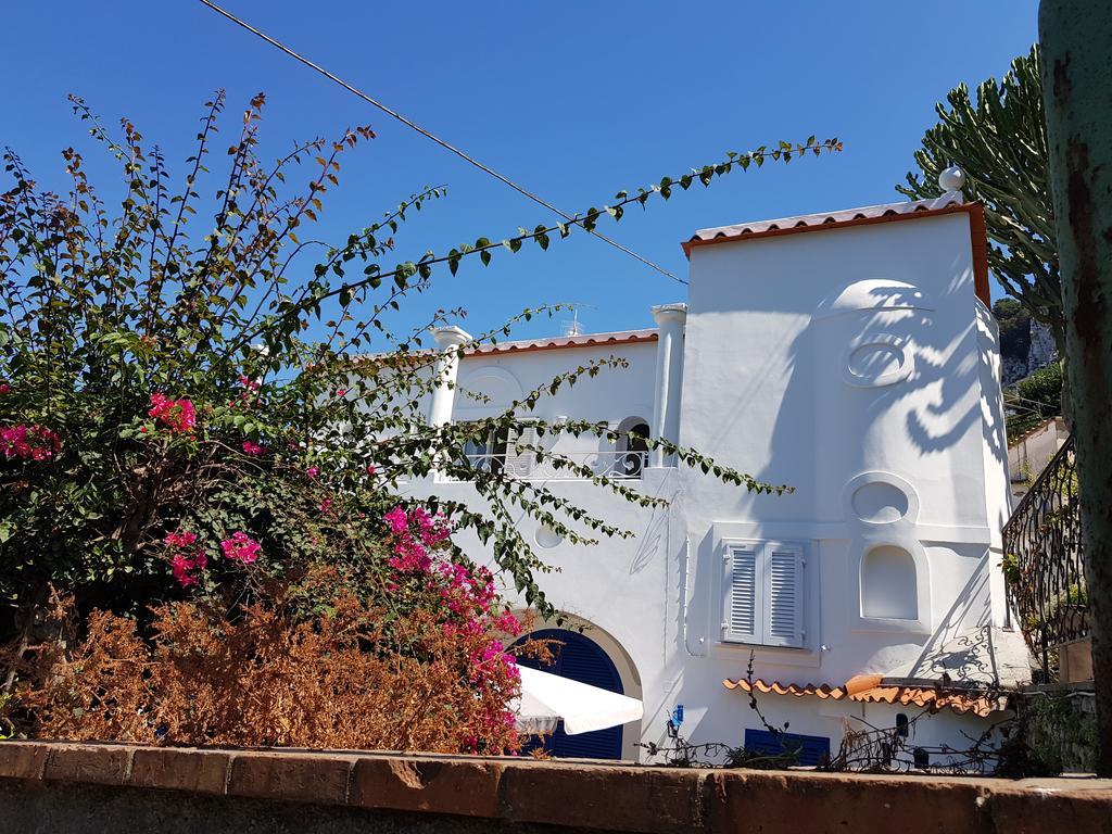 Guest house Casa Gaia 3*