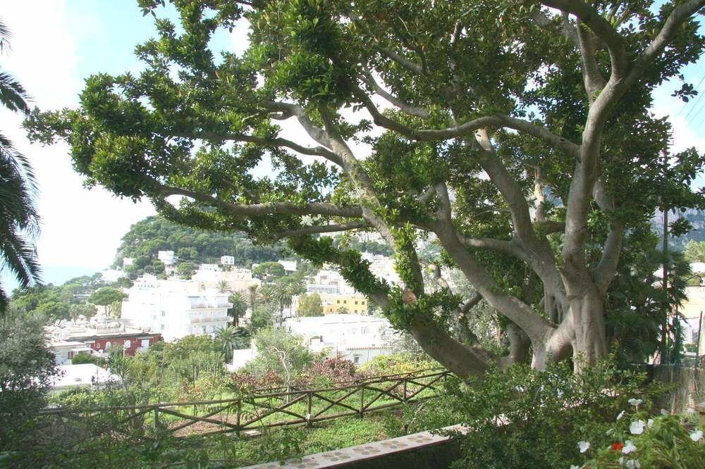 Helios Hotel Capri