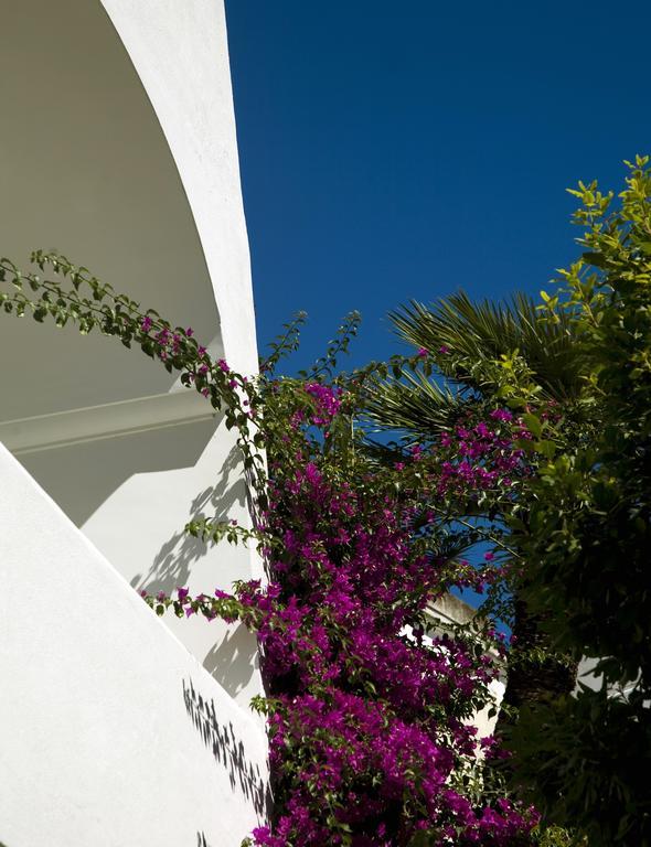 Hotel Gatto Bianco 4*