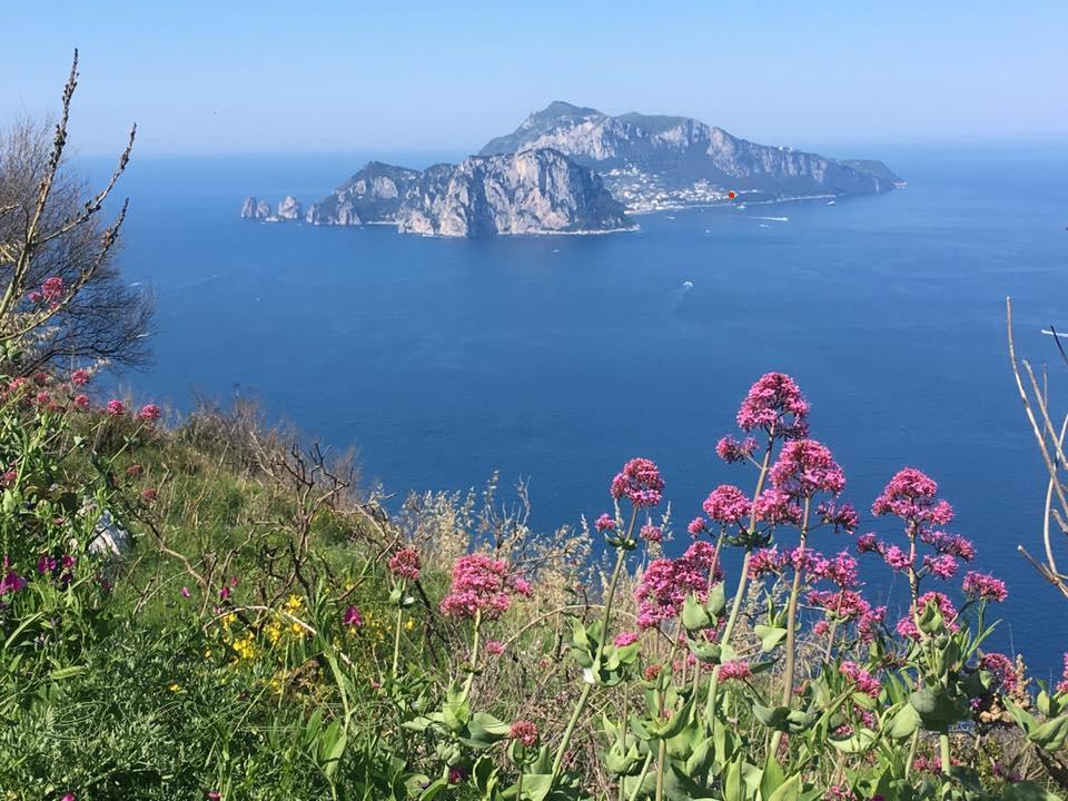 Albergo Italia - Vintage Hotel Hotel Capri