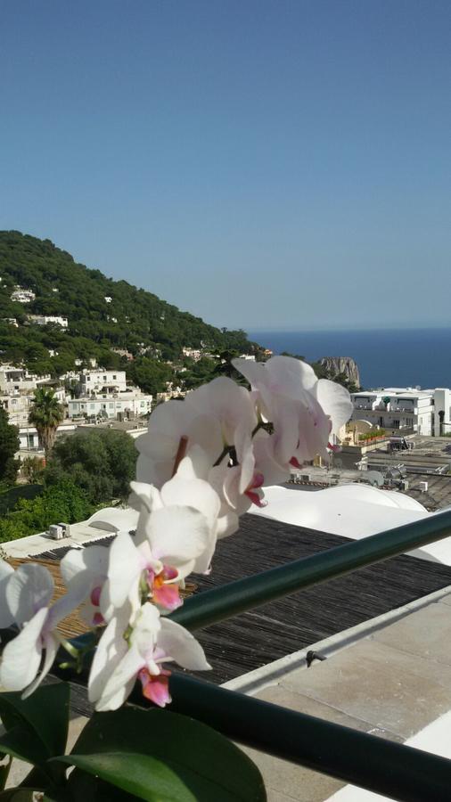 Guest house Casa Costanza Capri
