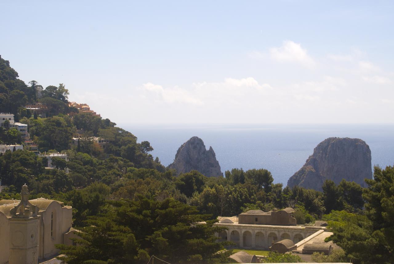 Carthusia Daire Capri