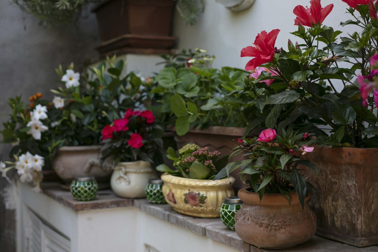 Guest house Casa Pamela Capri