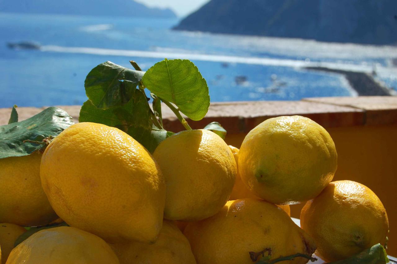 La Terrazza Sul Mare Acomodação com café da manhã 