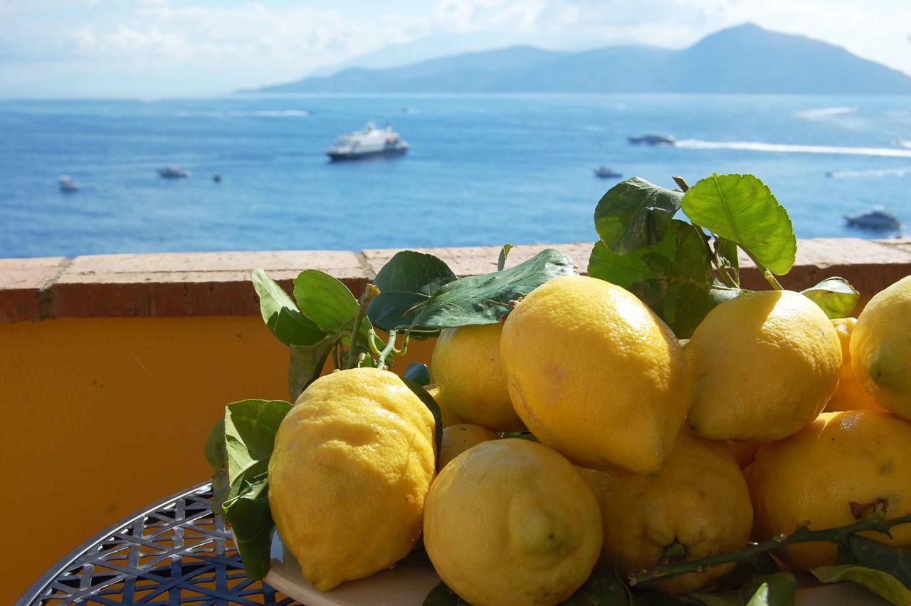 La Terrazza Sul Mare 2* Capri