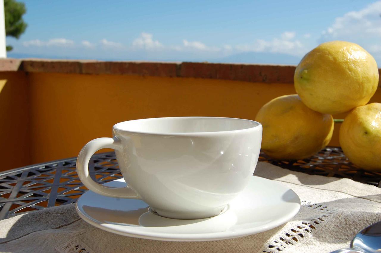 La Terrazza Sul Mare Acomodação com café da manhã  2*