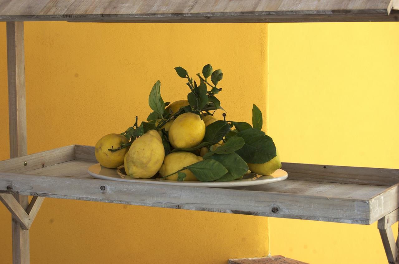 Acomodação com café da manhã  La Terrazza Sul Mare Capri
