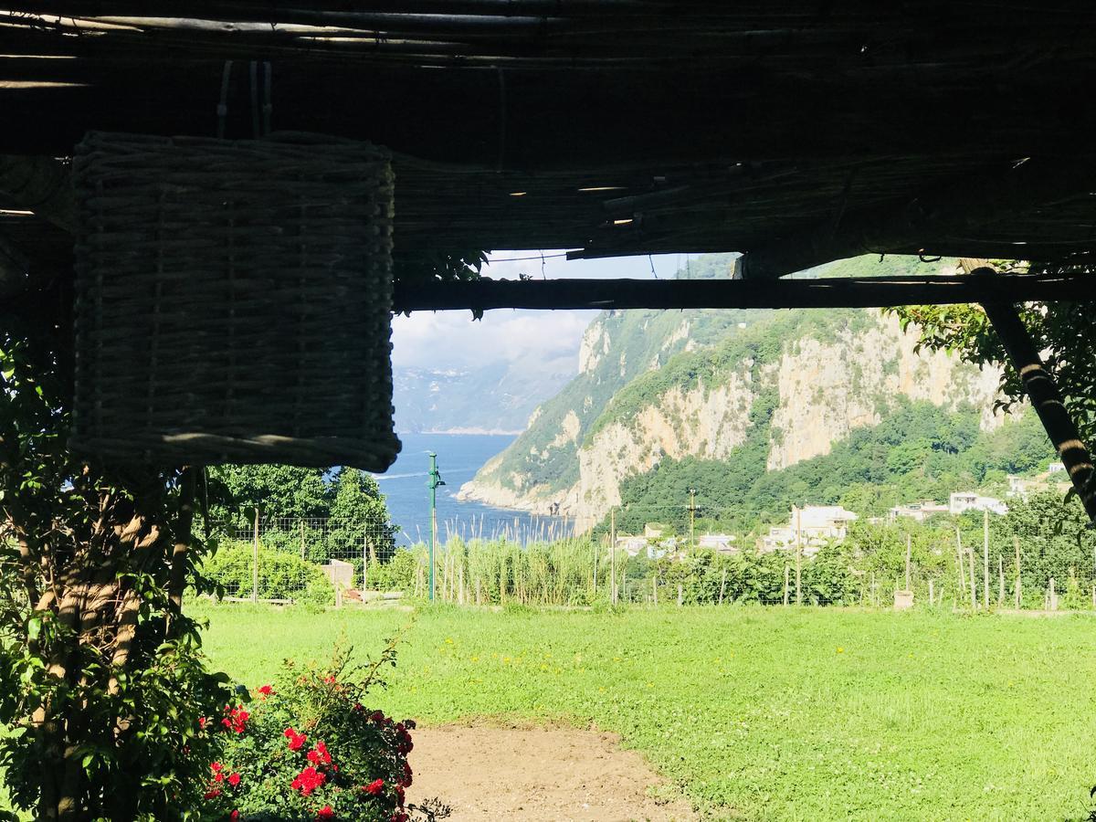 Marunnella Gasthof