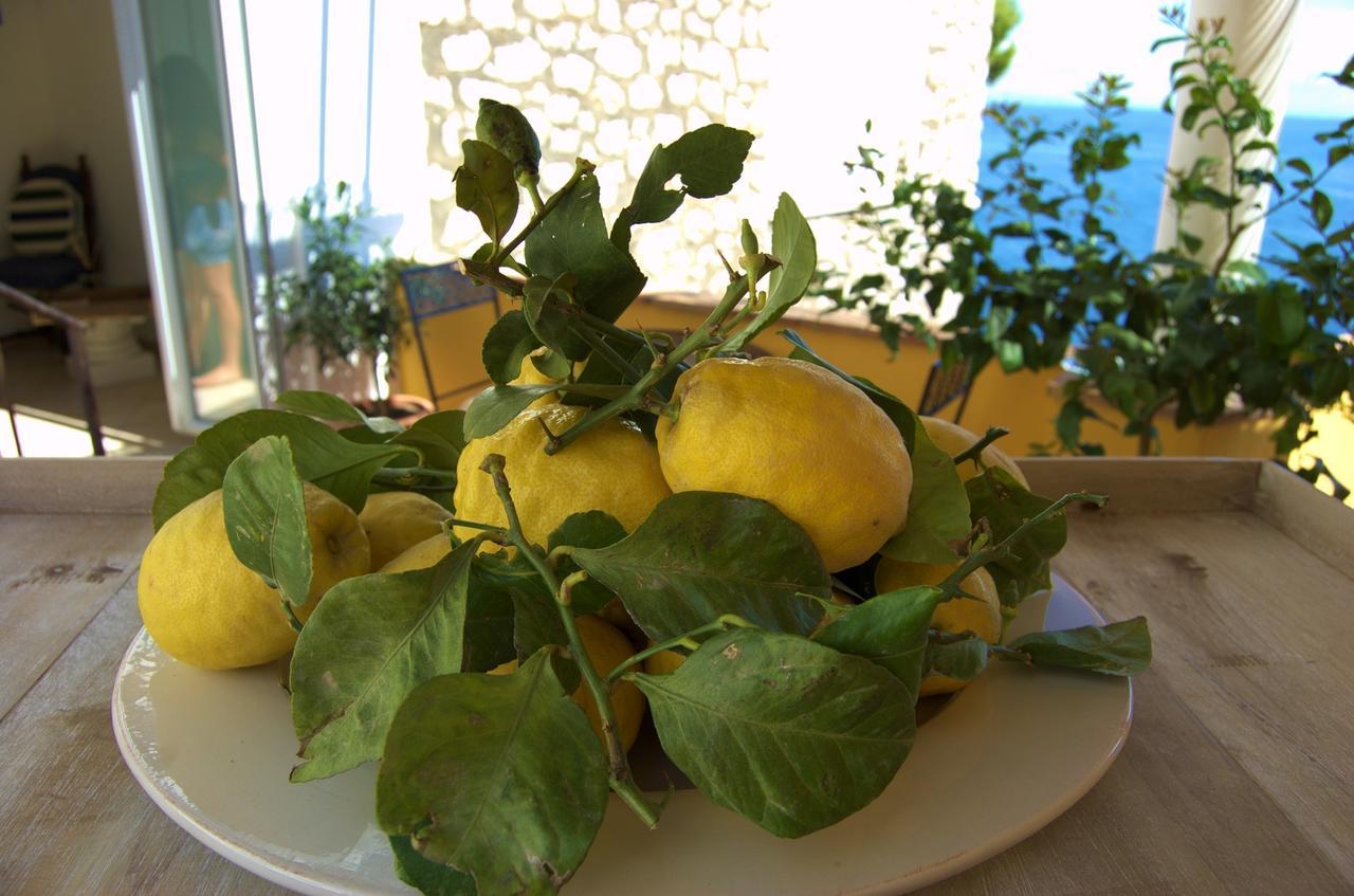 La Terrazza Sul Mare Acomodação com café da manhã  Capri