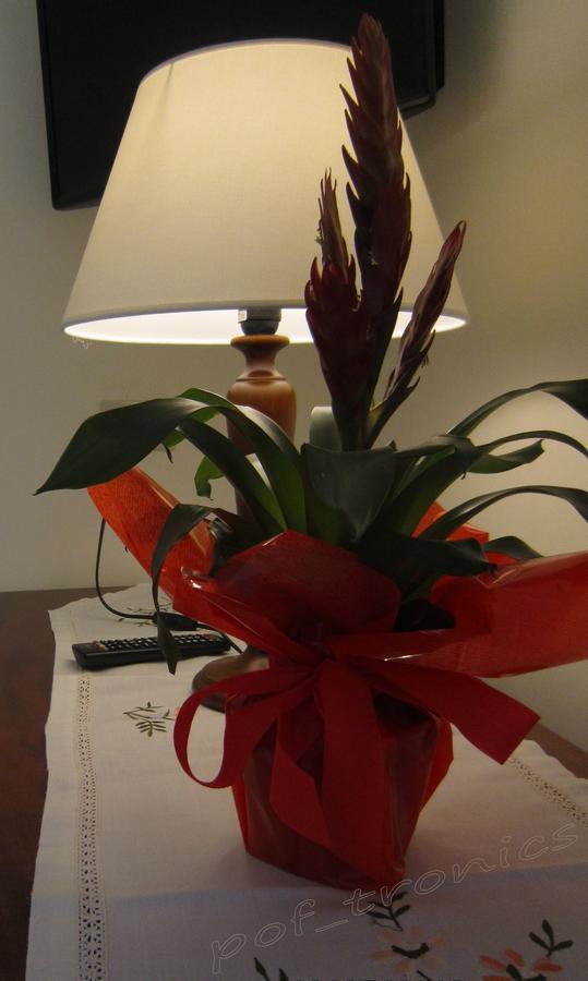Albergo Italia - Vintage Hotel Hotel Capri