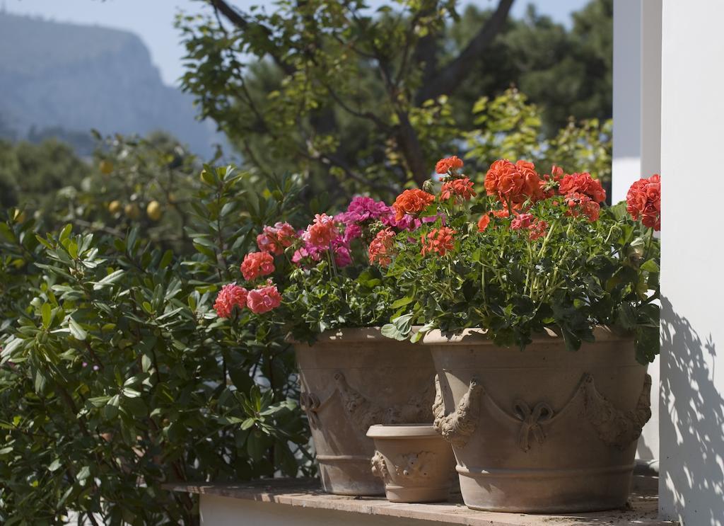 Hotel Brunella