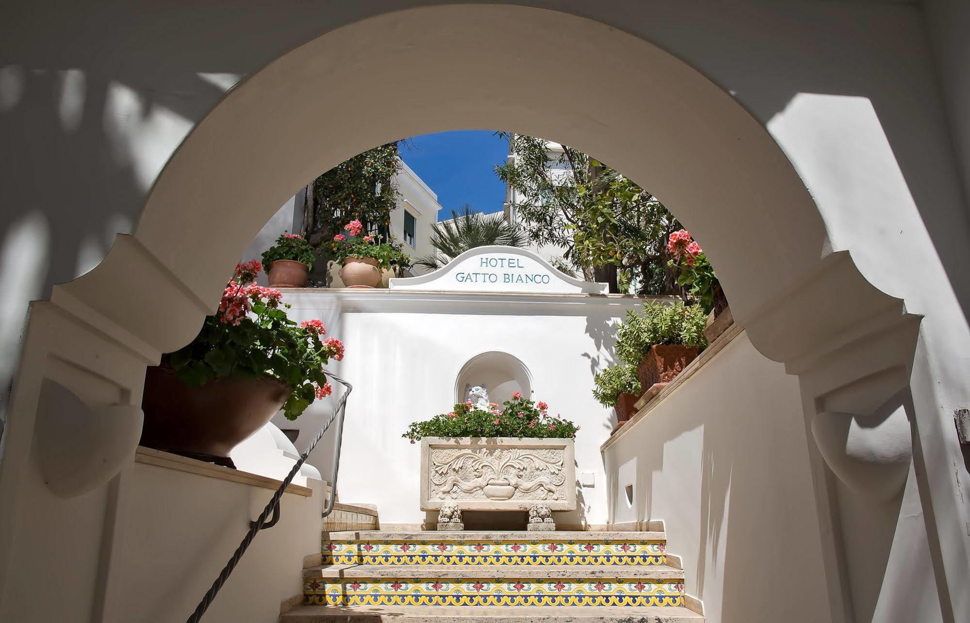 Hotel Gatto Bianco