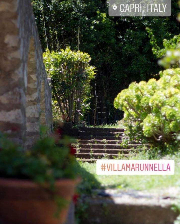 Marunnella