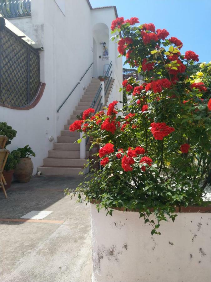 La Marocella