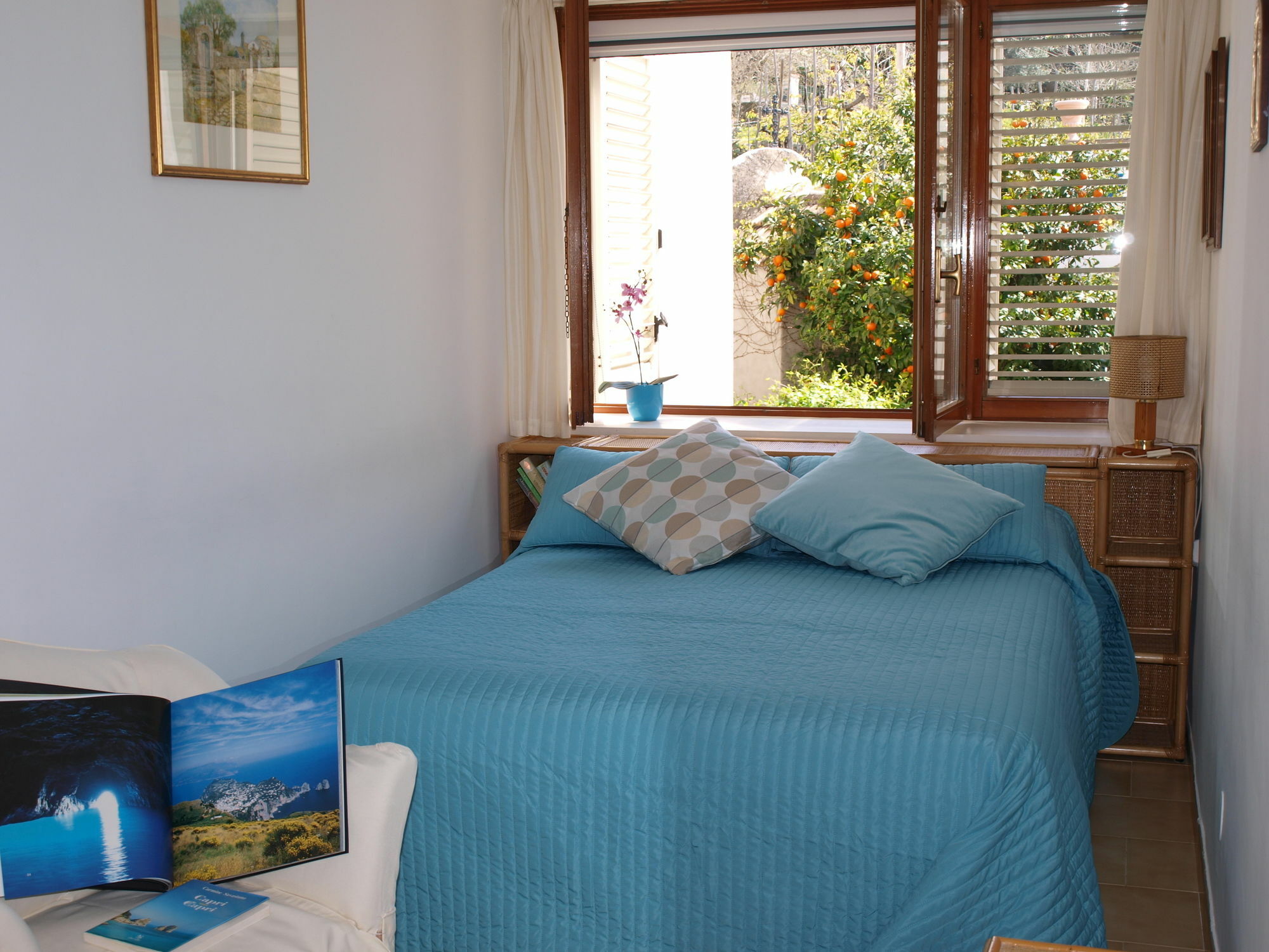 Villa Apollo B&B Acomodação com café da manhã  Capri