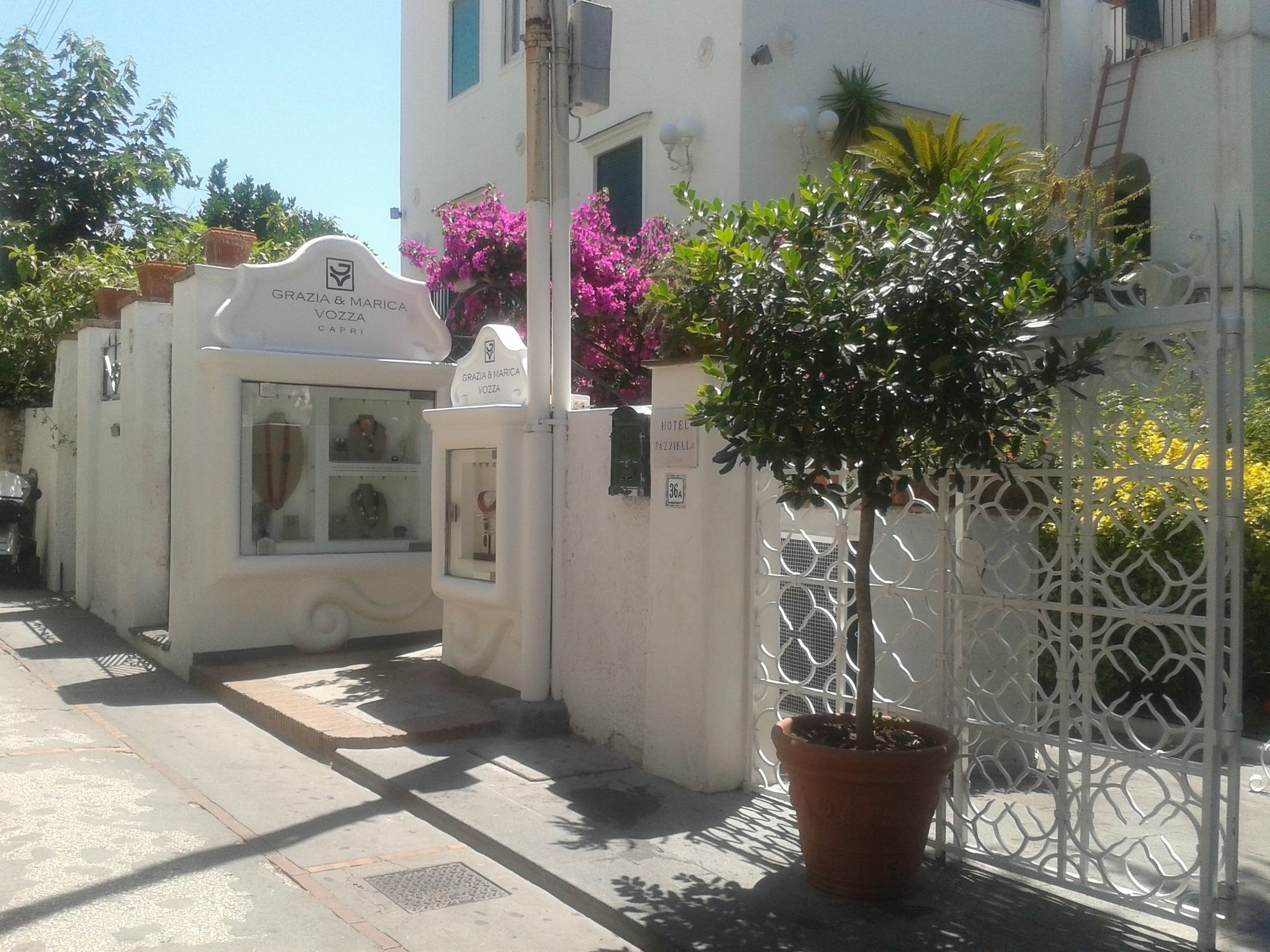 Villa Apollo B&B Acomodação com café da manhã 