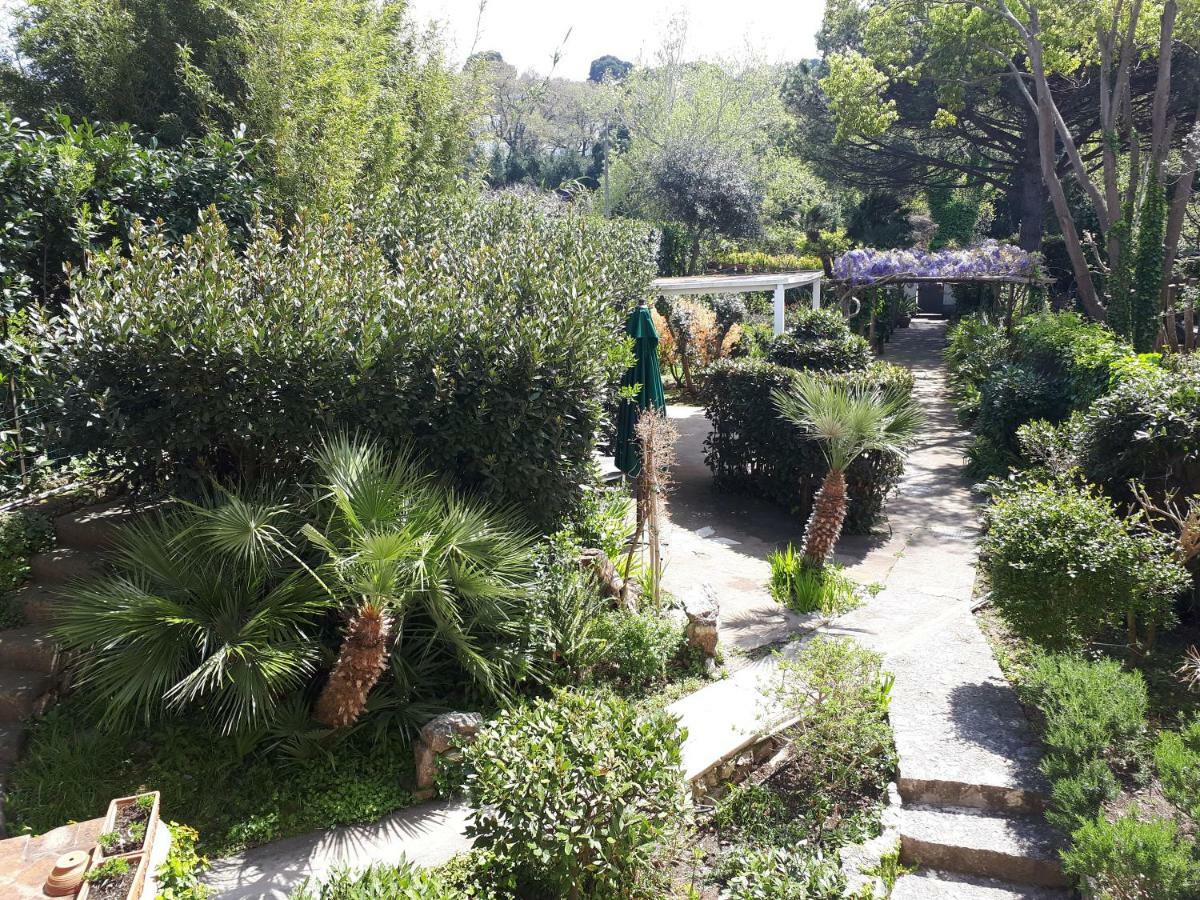Casa Marino Aurora Villa *