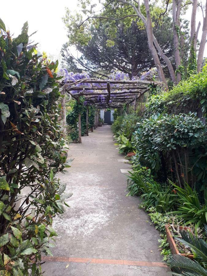 Villa Casa Marino Aurora *