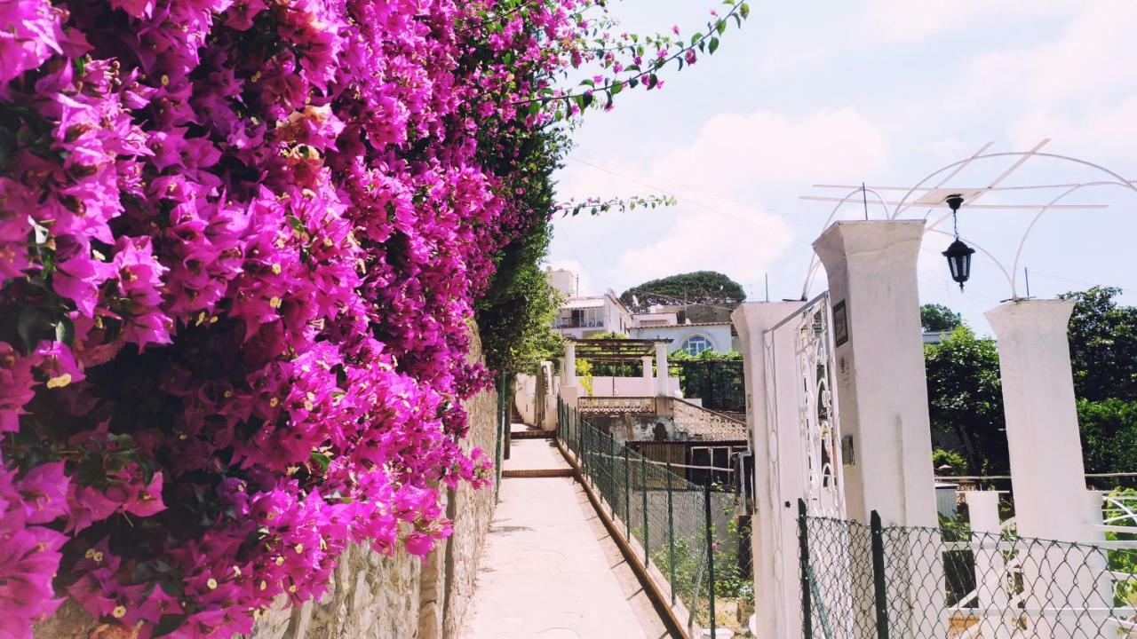 Konukevi Don Raffae Capri