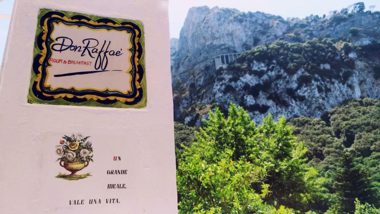 Don Raffae Capri