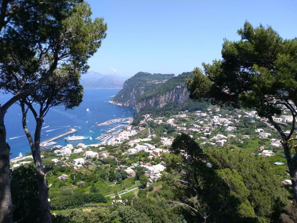 La Casa Nel Bosco * Capri