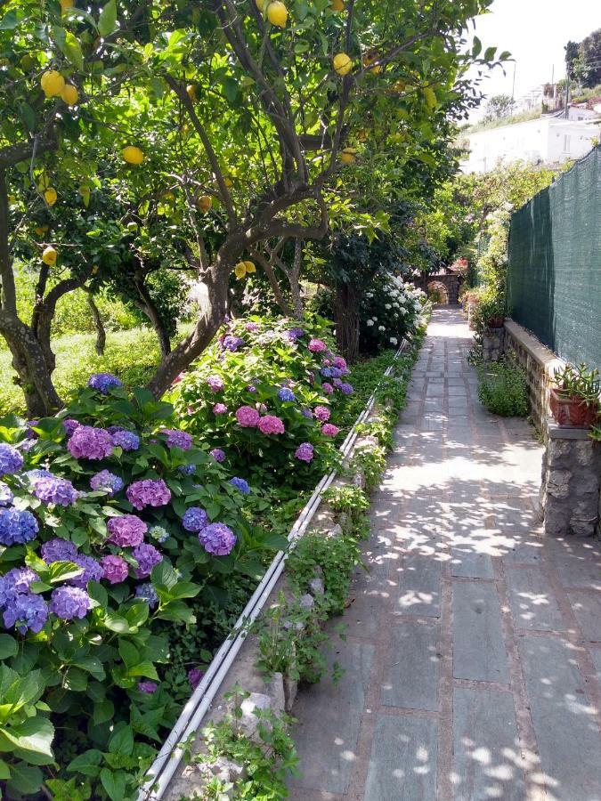 Holiday home Depandance Casa Paolina Capri