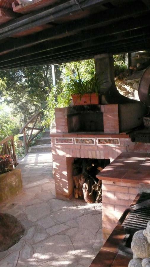La Casa Nel Bosco Guest house