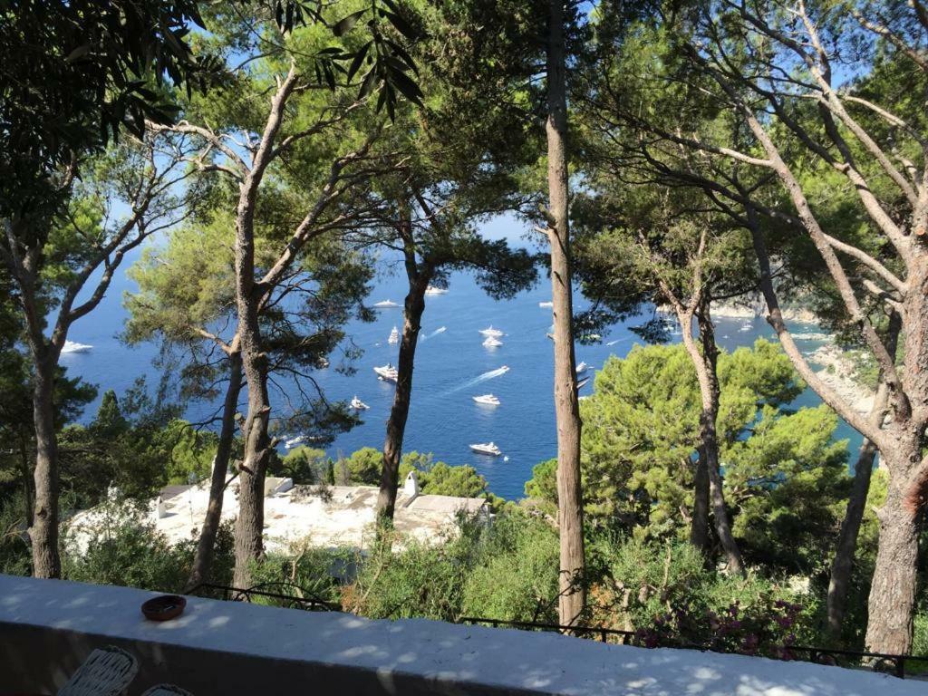 Guya * Capri