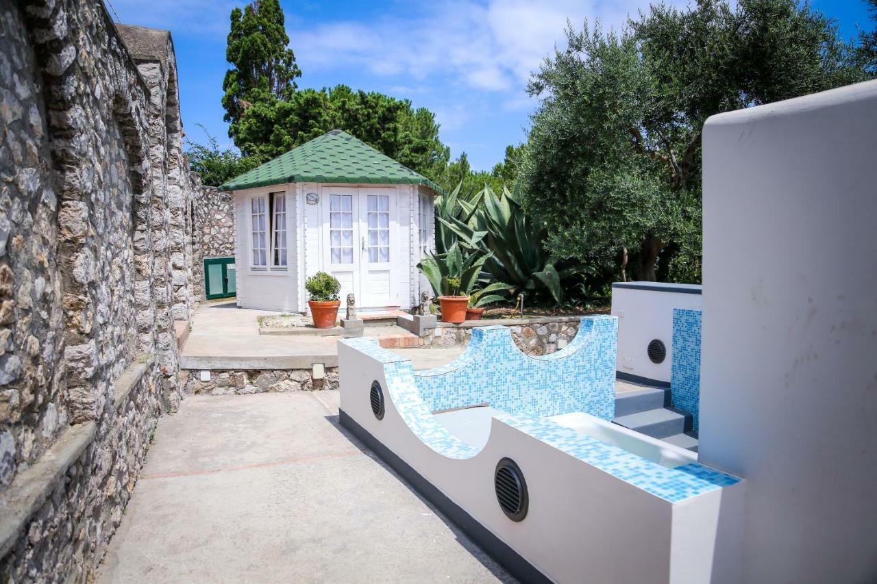 Carolina Guest house