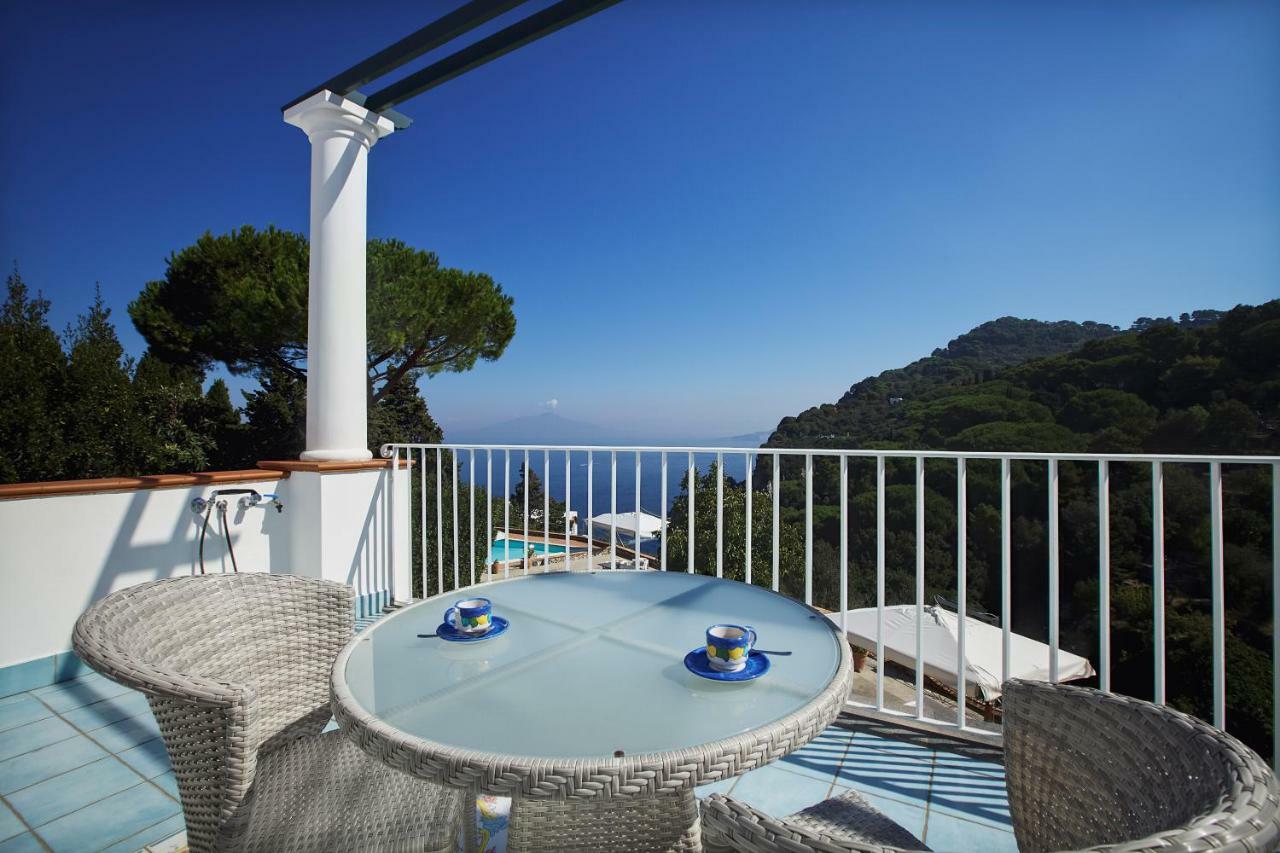 Guest house Carolina 3*