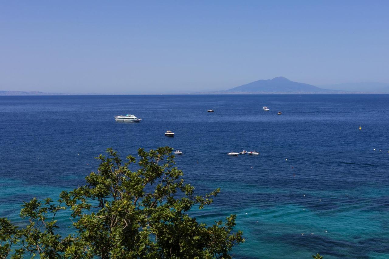 Blue View *