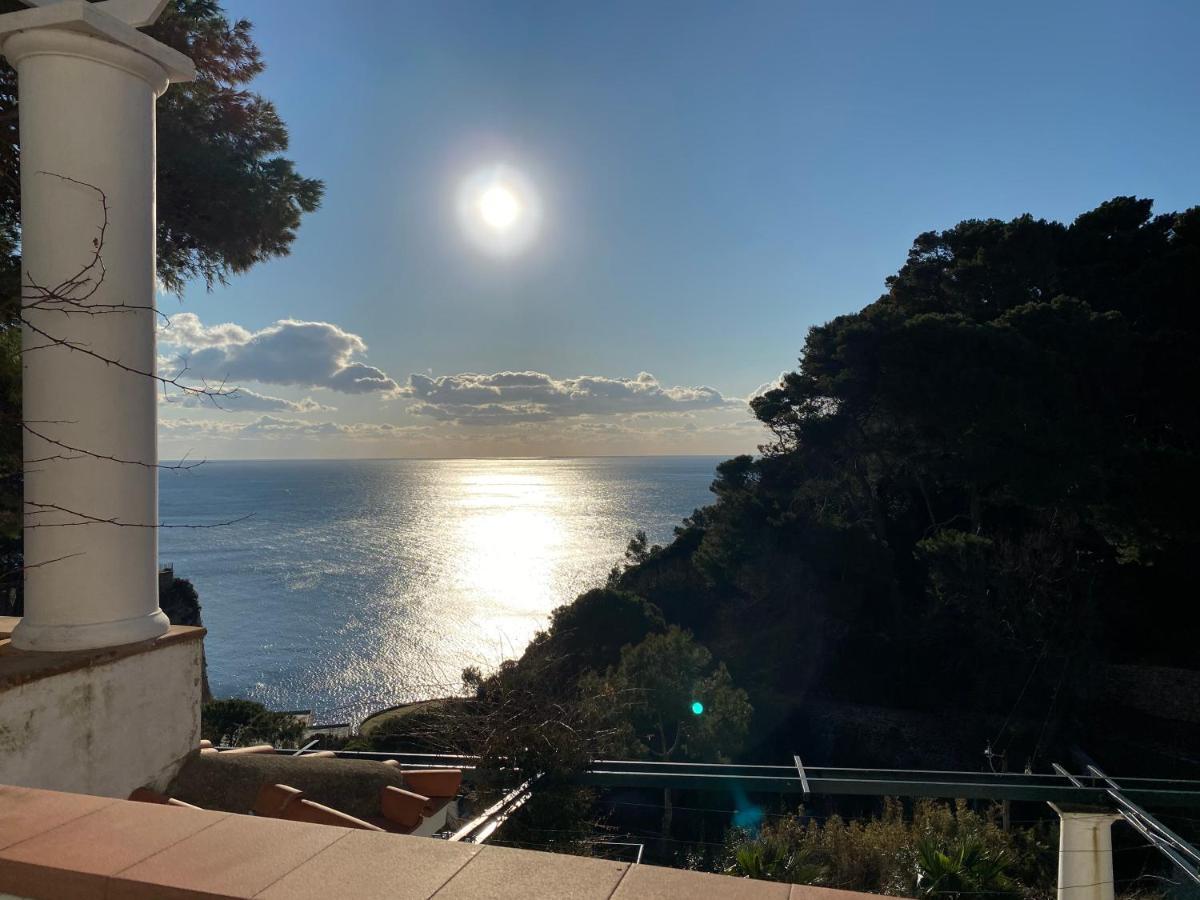 Regina Di - Occhio Marino -