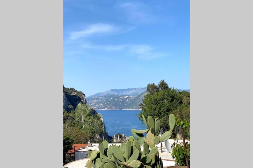 Casa Masgaba * Capri