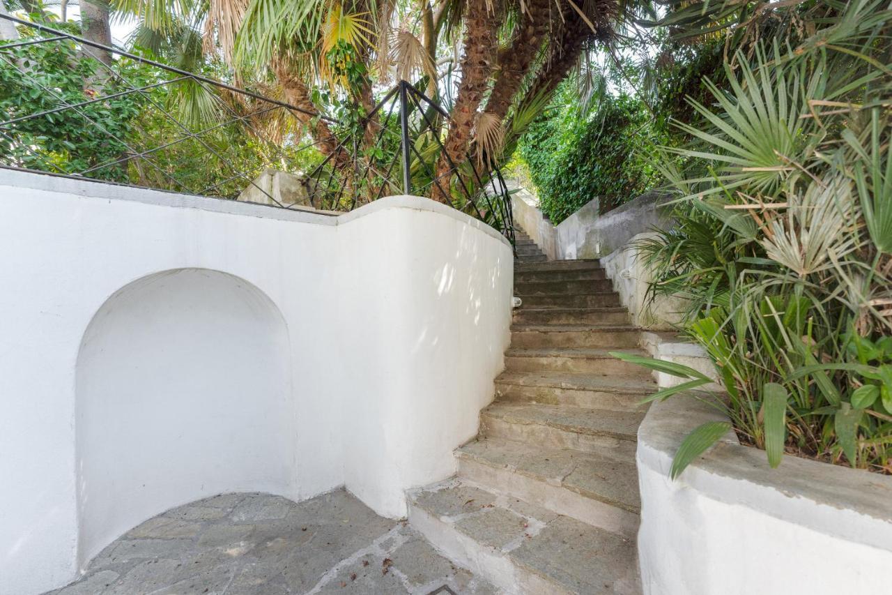 Azzurra, * Capri