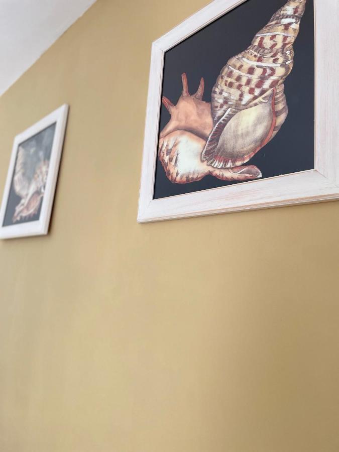 Apartment Camerelle