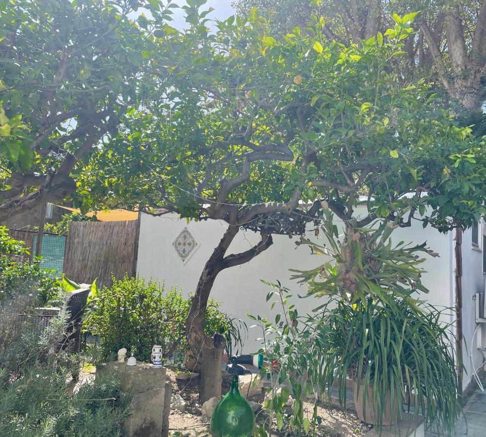 Striano - - Garden&art Capri