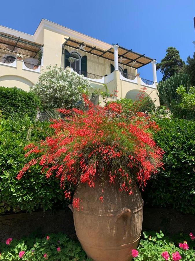 Apartment La Casa Di Paola Capri