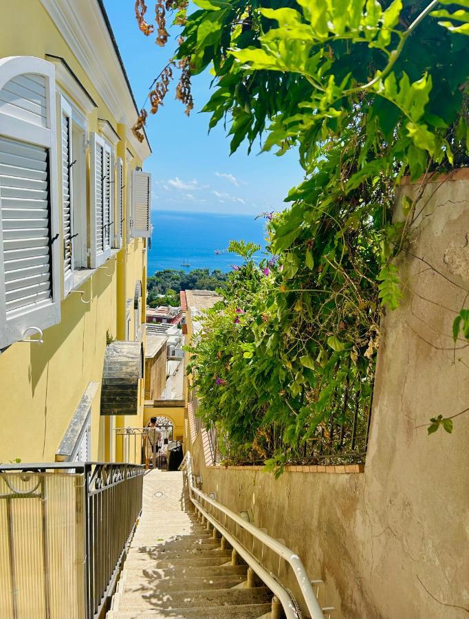Apartment Terrazza Belvedere *