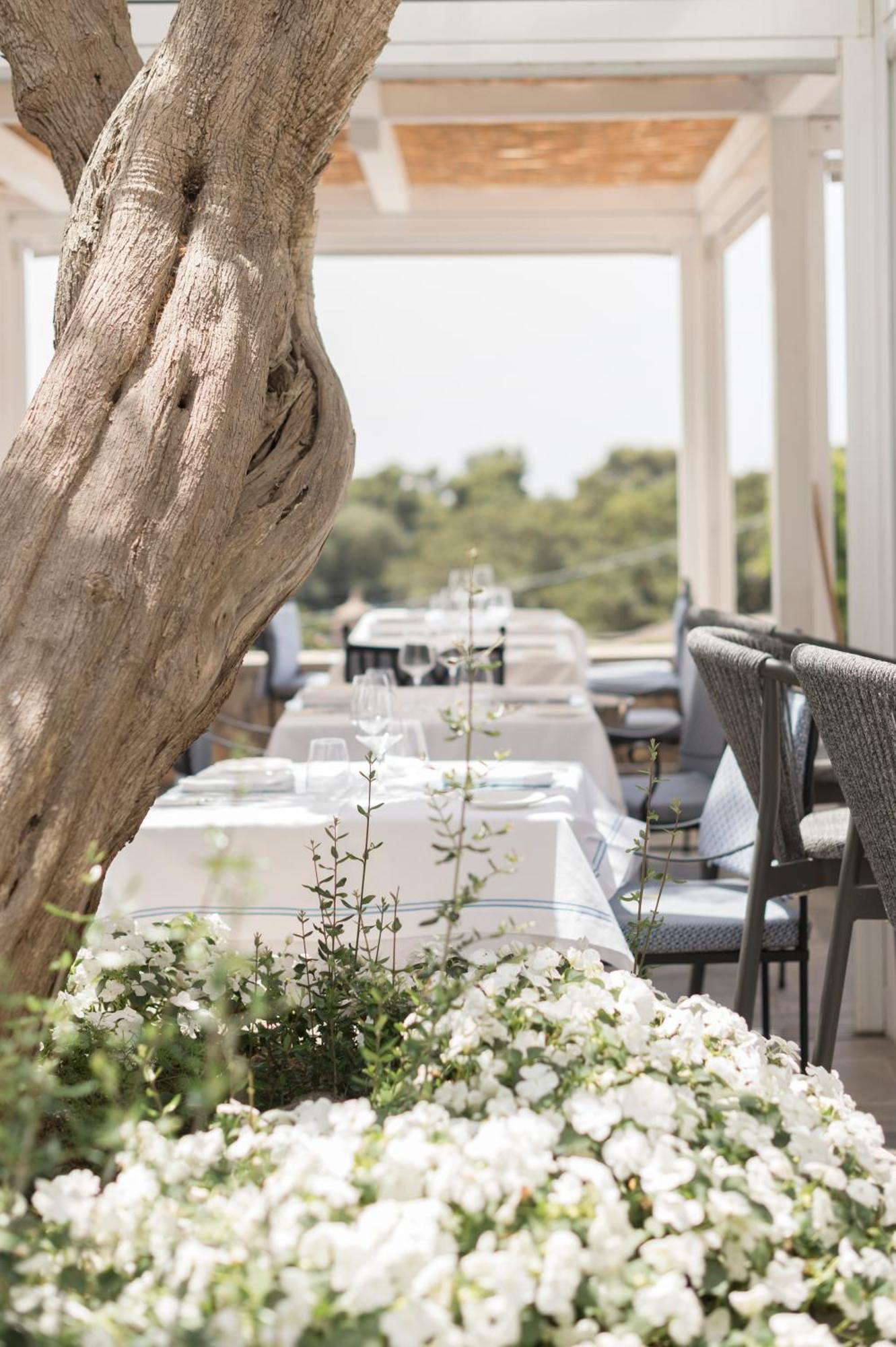 Hotel Canasta 4*
