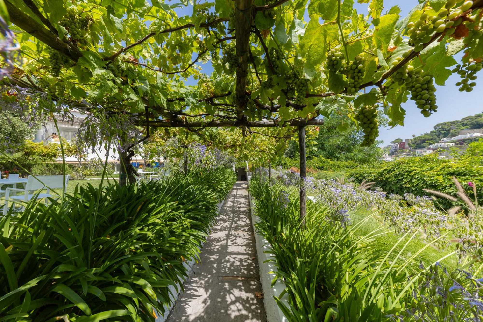 La Pergola 2* Capri