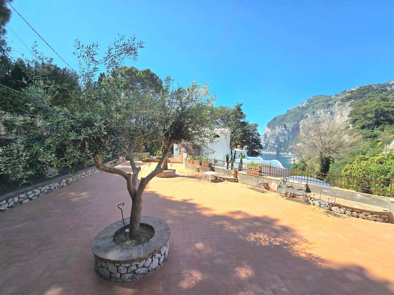 La Perla Marina *