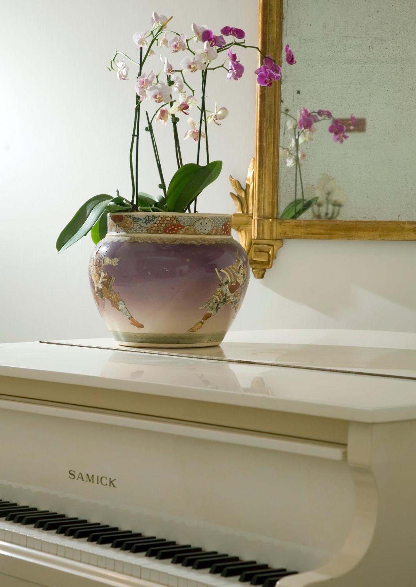 Hotel Gatto Bianco