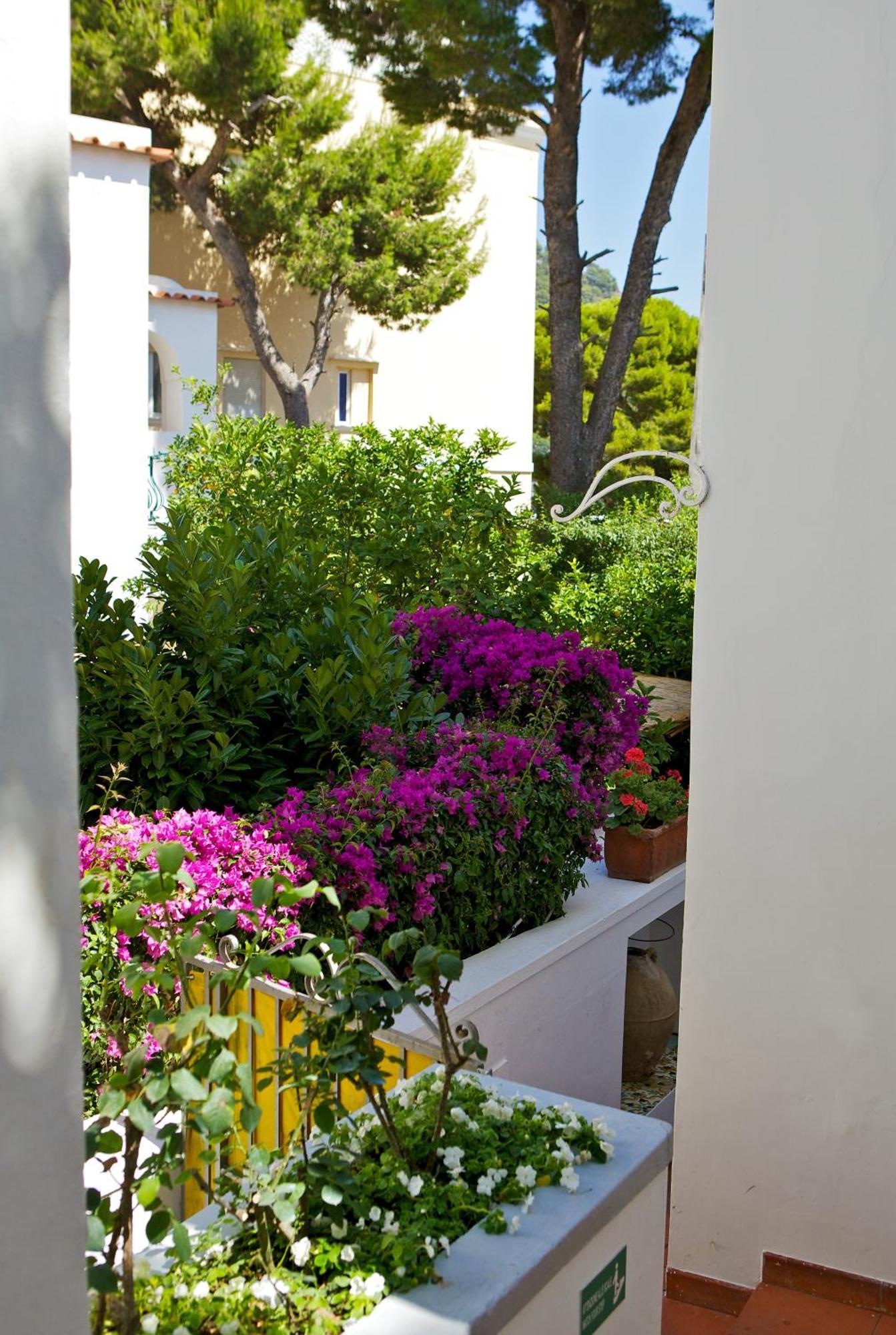 Hotel San Felice 4*