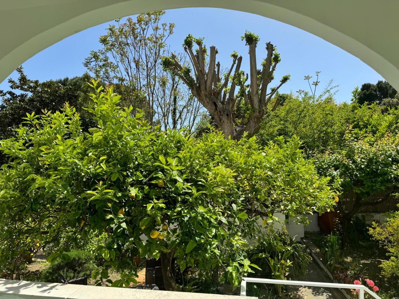 Striano - - Garden&art