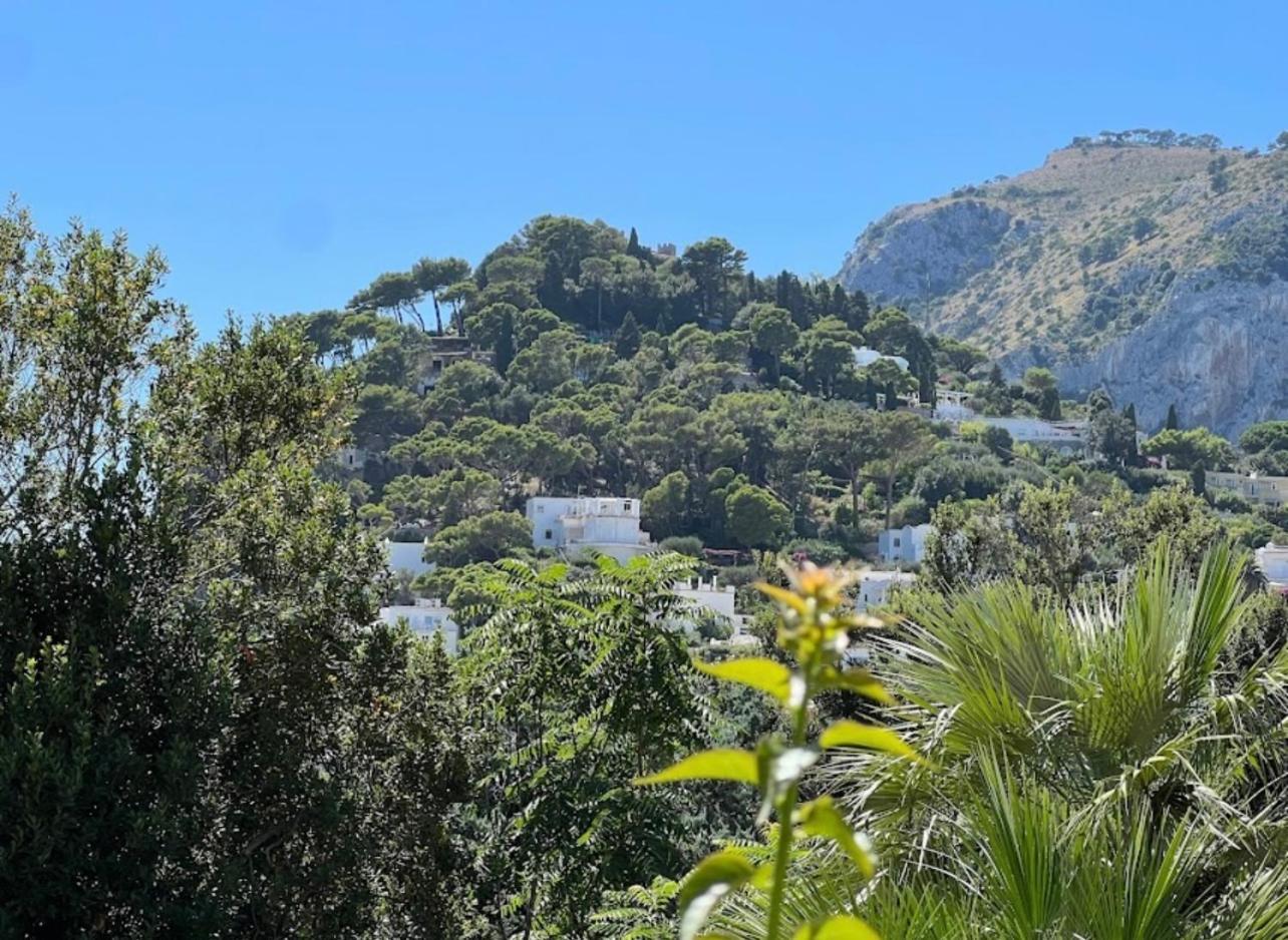 Apartment Camerelle Luxury Capri