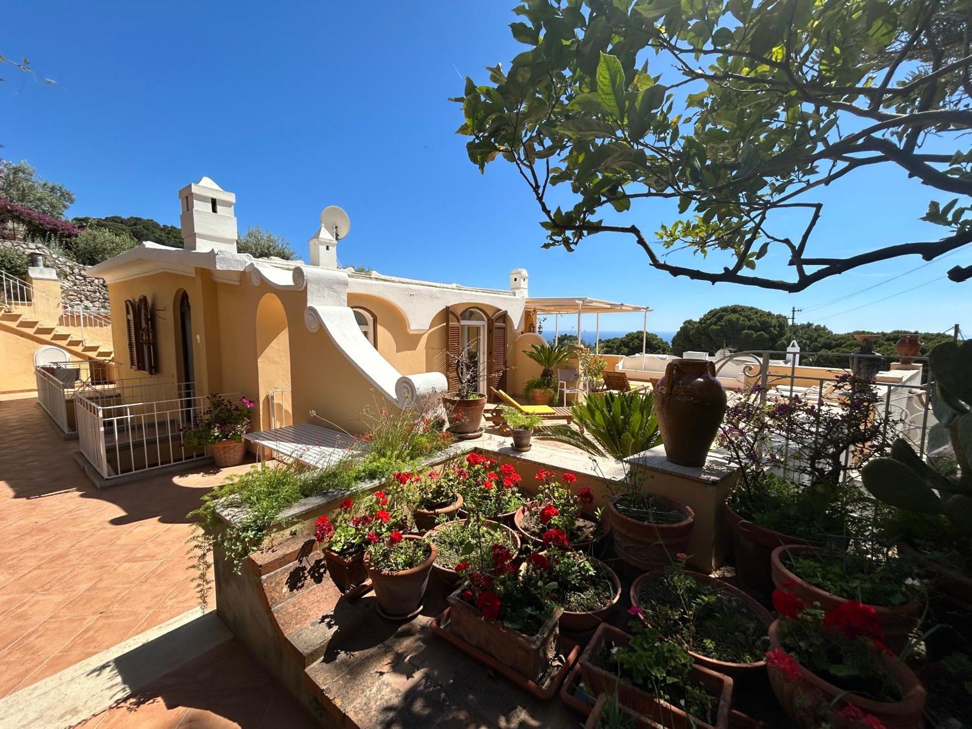 Private Sea View Con Terrazza E Giardino Apartment Capri